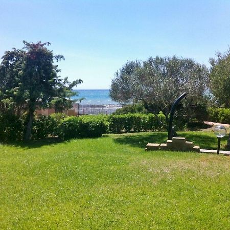 Direttamente Sulla Spiaggia Castiglione della Pescaia Ngoại thất bức ảnh